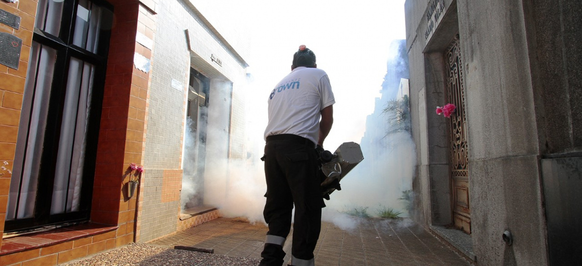 El municipio de Alte Brown difunde recomendaciones para prevenir el dengue